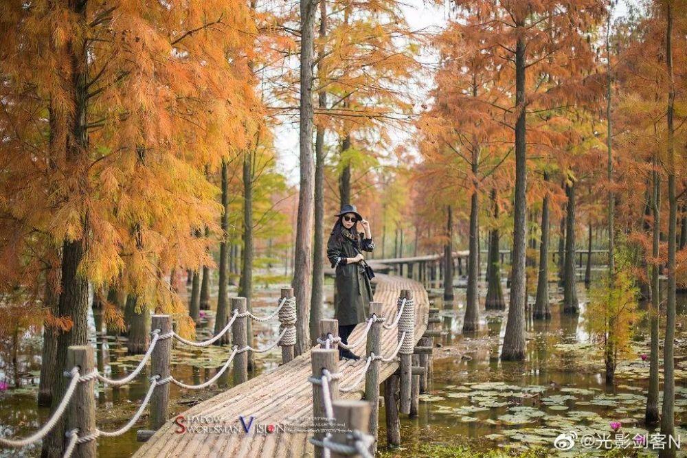 一条绿丝带 温暖出行路